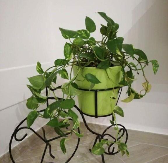 غرفة قياسية, La Pigna