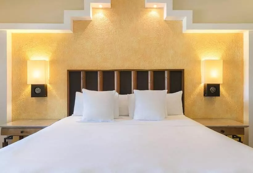 سوییت جونیور با چشم‌انداز استخر, Iberostar Selection Paraíso Maya Suites