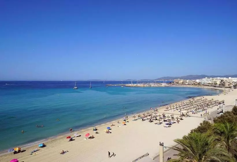 اتاق اساندارد با چشم‌انداز جانبی به دریا, Eden Palma Playa Adults Only