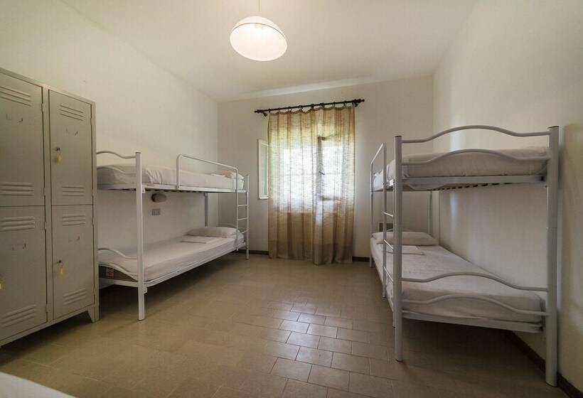מיטה בחדר מעונות עם מקלחת משותפת, Tuscany Working Hostel