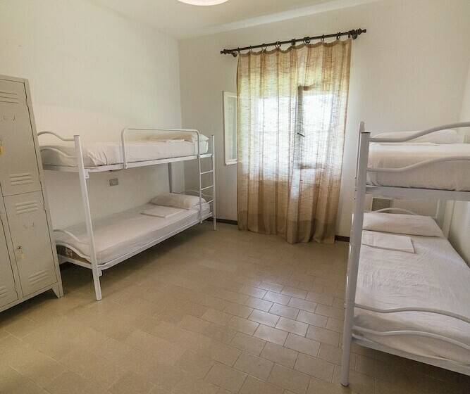 מיטה בחדר מעונות עם מקלחת משותפת, Tuscany Working Hostel