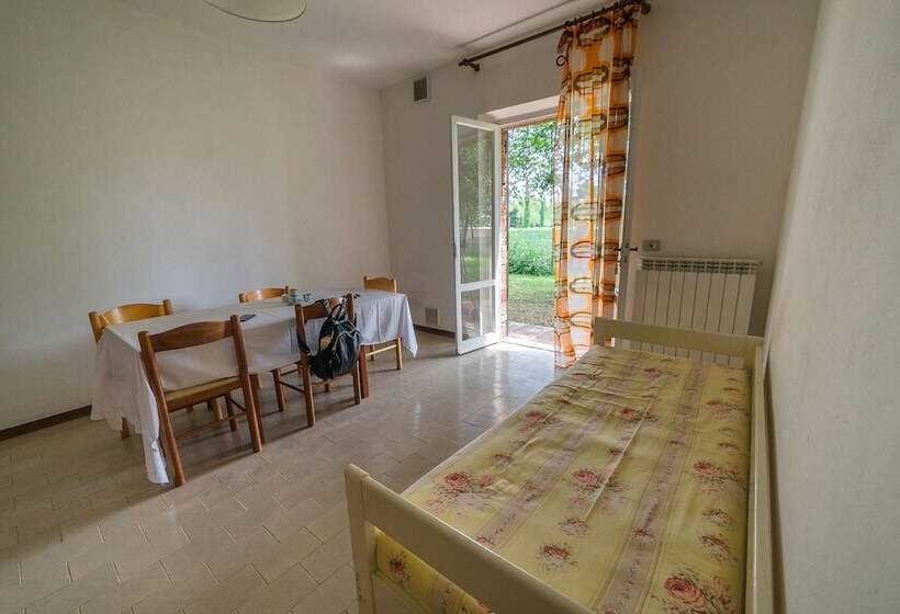 מיטה בחדר מעונות עם מקלחת משותפת, Tuscany Working Hostel