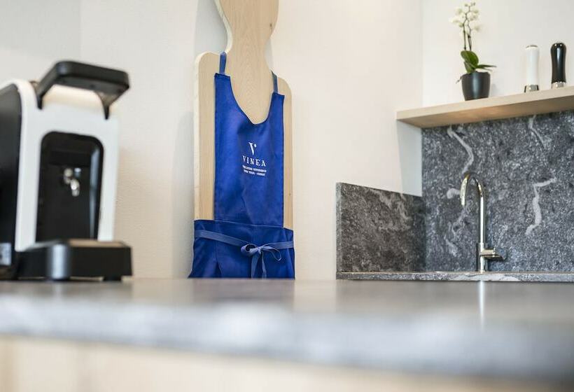 Апартаменты 1 Спальня, Vinea Suites & Apartments