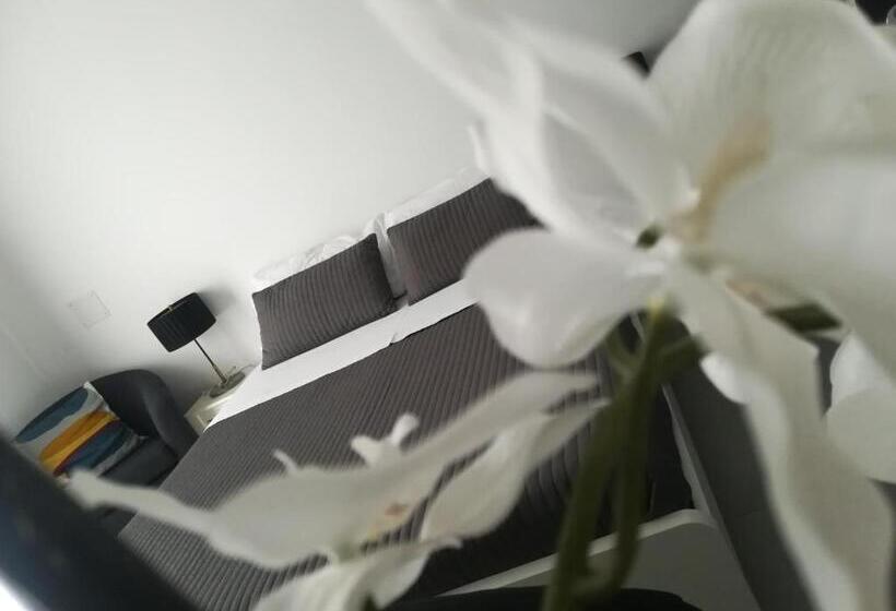 带阳台标准四人间, B&b Roda Barocco