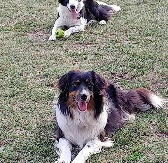 חדר סופריור, B&b Cascina Sant Elena