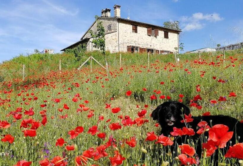 Standard room with outdoor bath, Casale Le Orme