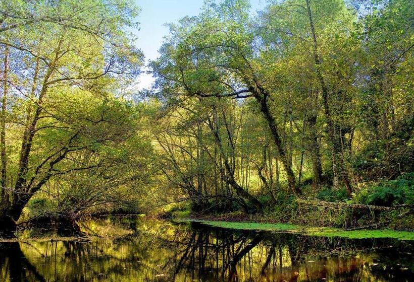 スタンダードルーム, Balneario Rio Pambre