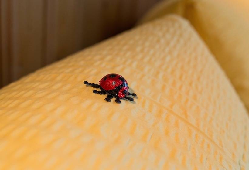 חדר סטנדרט נוף להרים, Bel Air Eden