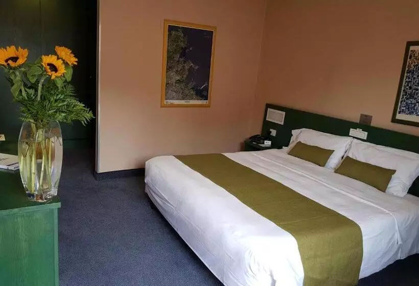 اتاق استاندارد, Best Western Hotel Mediterraneo