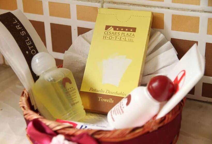 اتاق استاندارد یک نفره, Cesar S Plaza