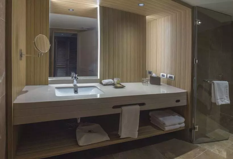 ２ダブルベッドのスタンダードルーム, Doubletree By Hilton Iquitos