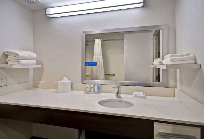 身障者適用キングサイズベッドルーム, Hampton Inn Nyjfk