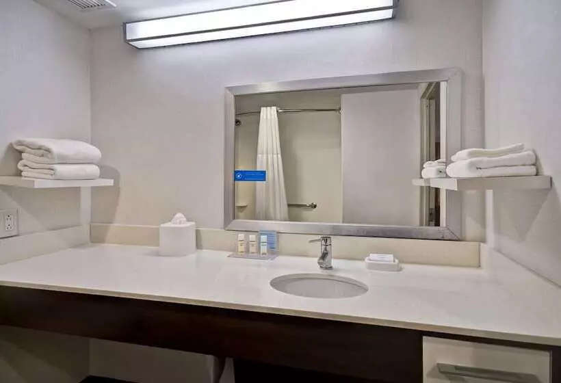 اتاق استاندارد با تخت بزرگ برای معلولان, Hampton Inn Nyjfk