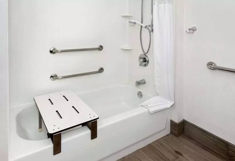 اتاق استاندارد با تخت بزرگ برای معلولان, Hampton Inn Nyjfk