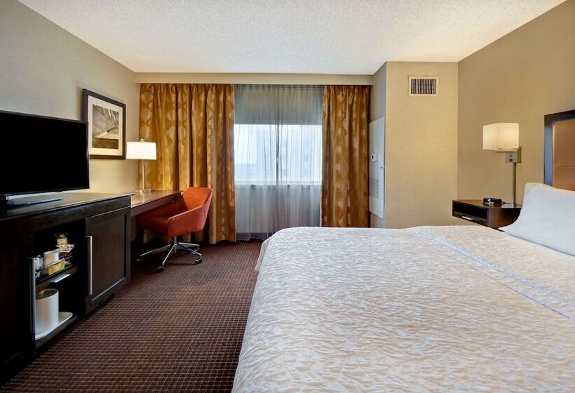 身障者適用キングサイズベッドルーム, Hampton Inn Nyjfk