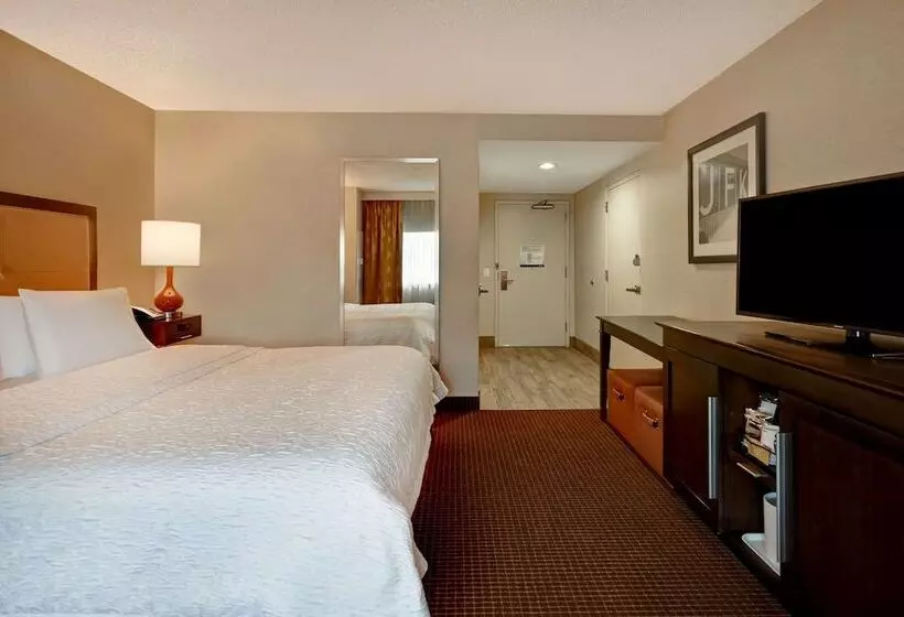 اتاق استاندارد با تخت بزرگ برای معلولان, Hampton Inn Nyjfk