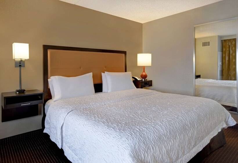 اتاق استاندارد با تخت بزرگ برای معلولان, Hampton Inn Nyjfk