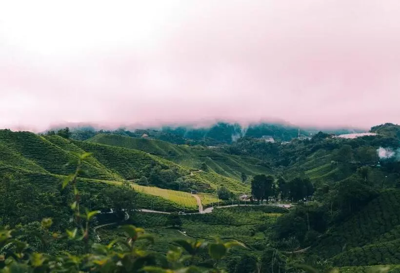 Deluxe Neljän Hengen Huone, Heritage Hotel Cameron Highlands