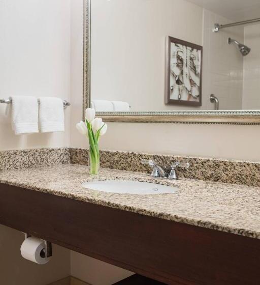 高级大房间, Renaissance Newark Airport