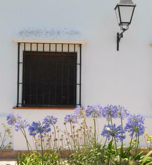 标准单人间, Valsequillo