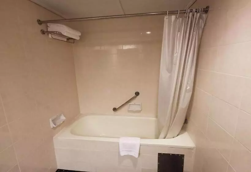 اتاق سوپریور با چشمانداز شهر, Tongtara Riverview