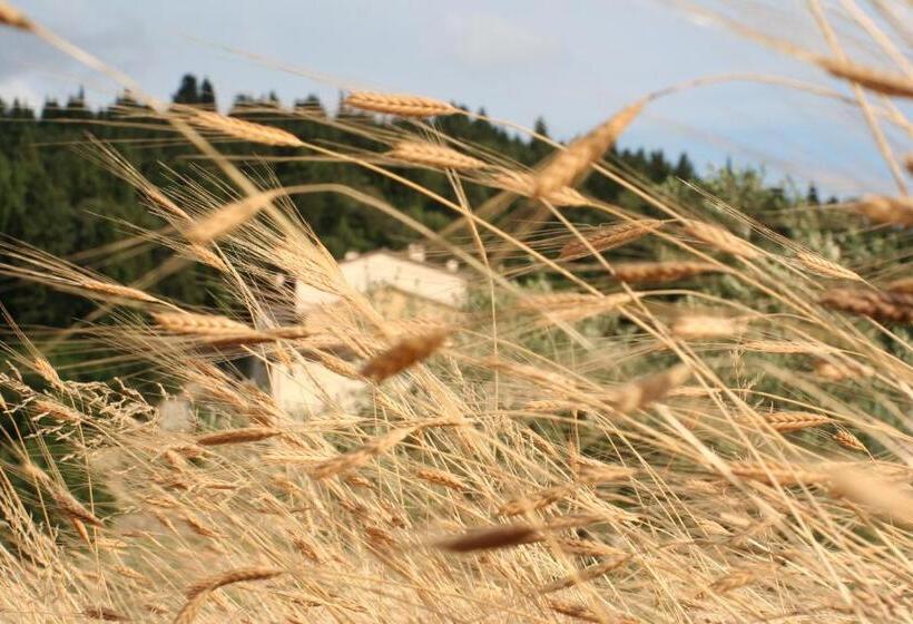 غرفة قياسية مع حمام خارجي, Bioagriturismo Podere Montisi