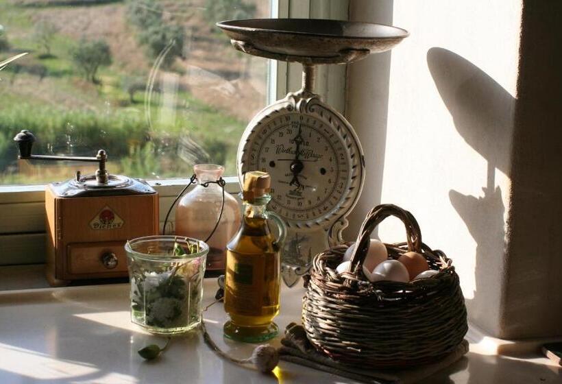 غرفة قياسية مع حمام خارجي, Bioagriturismo Podere Montisi