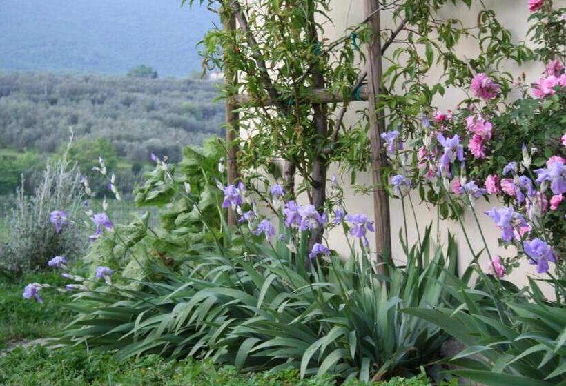 غرفة قياسية مع حمام خارجي, Bioagriturismo Podere Montisi