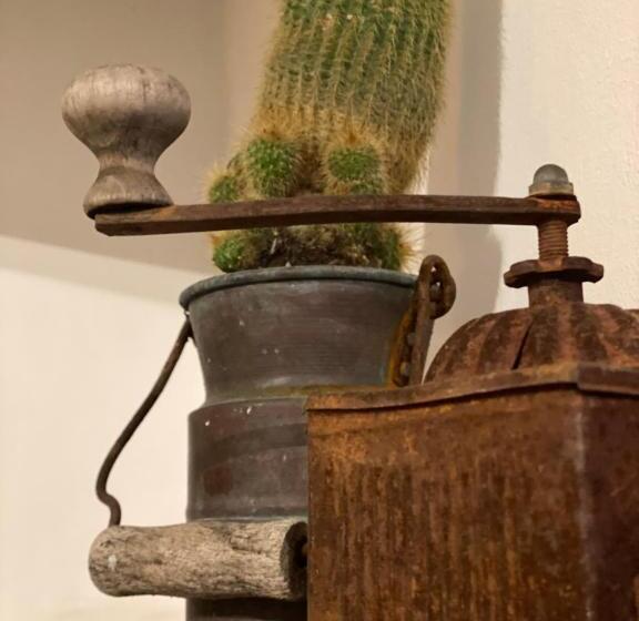 דירת חדר נוף לגינה, B&b Il Giardino Di Armida