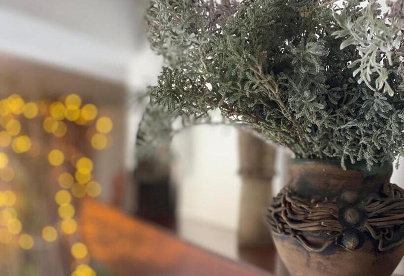 דירת חדר נוף לגינה, B&b Il Giardino Di Armida