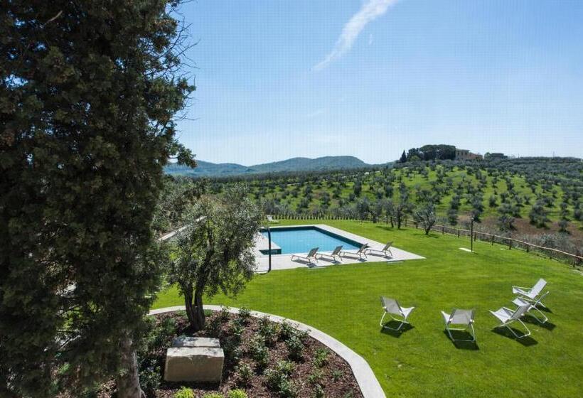 1 Bedroom Apartment Lake View, Olmofiorito