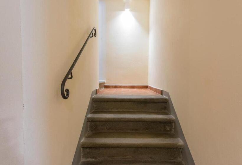 דירת חדר דלוקס, Olmofiorito