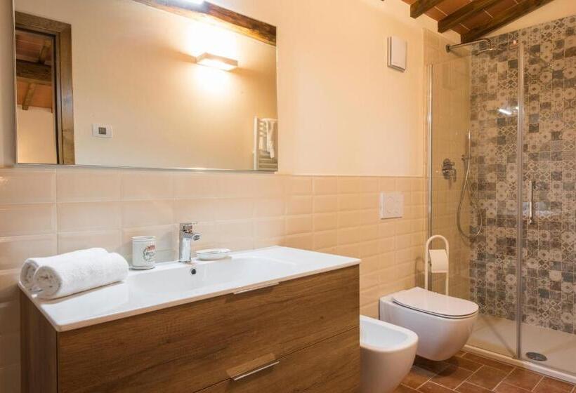 דירת חדר, Olmofiorito