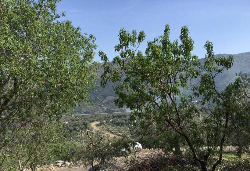 חדר סטנדרט, B&b La Vecchia Scuola