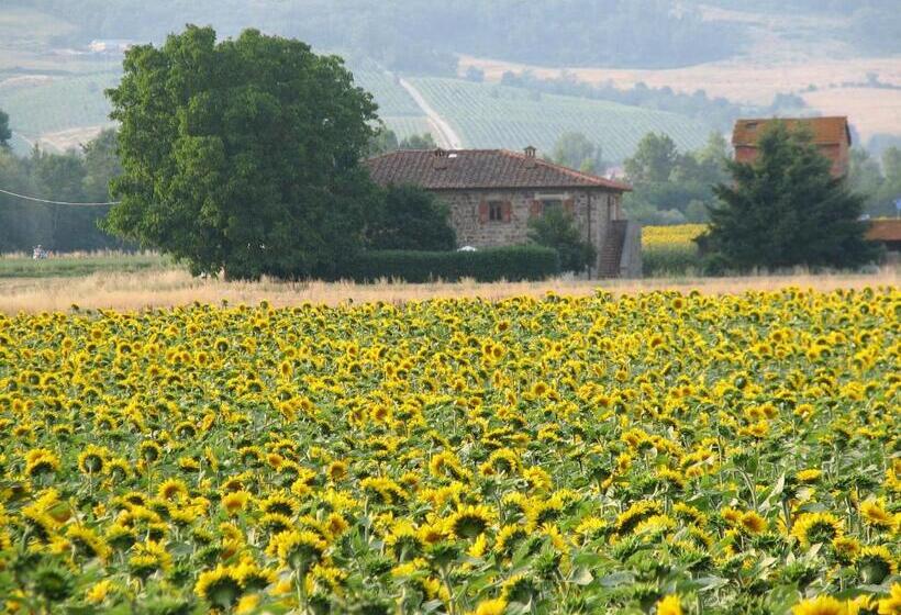 1ベッドルームアパートメント, Agriturismo Poderi Minori