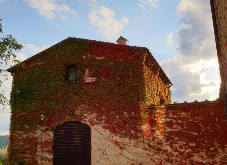 آپارتمان سوپریور 2 خوابه, Fattoria Lornano Winery