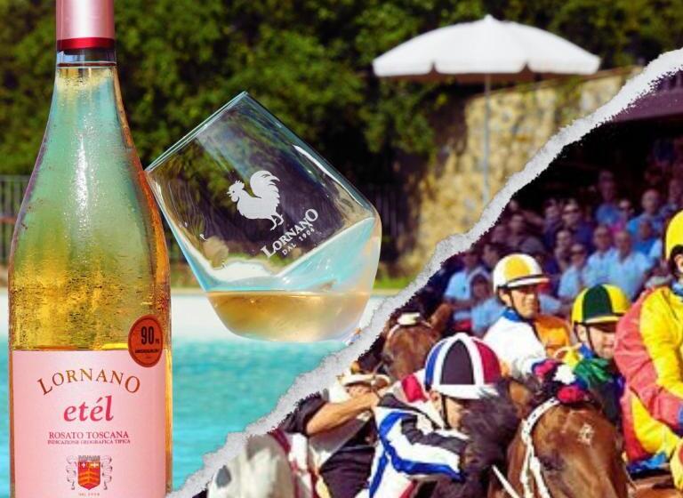 آپارتمان 1 خوابه, Fattoria Lornano Winery
