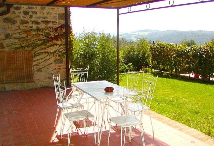 شقة غرفة واحدة, Fattoria Lornano Winery