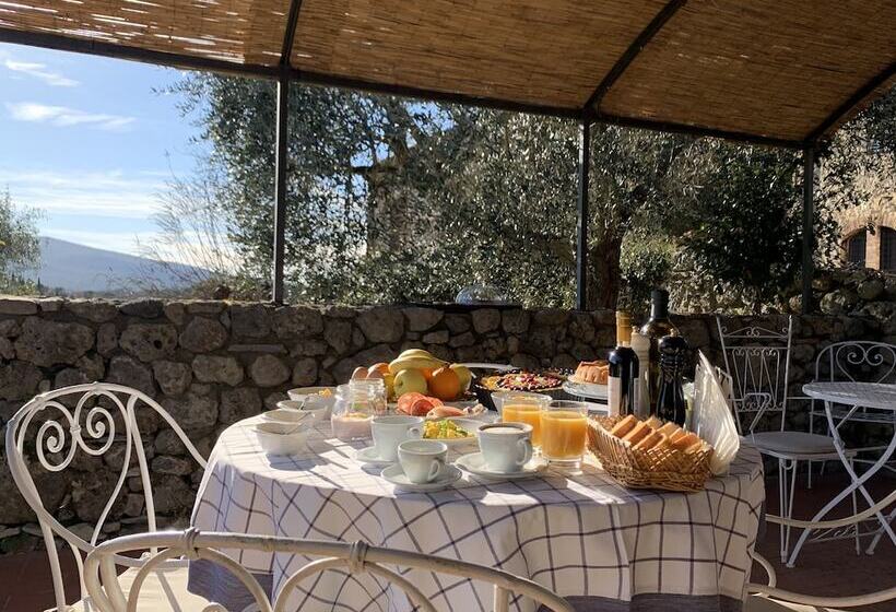 شقة 3 غرف, Fattoria Lornano Winery