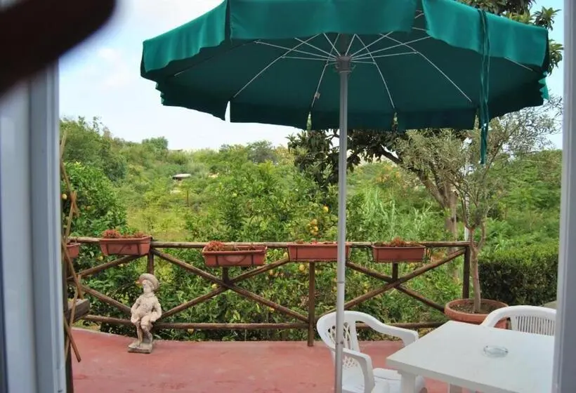 استودیوی استاندارد, Villa Raffaela B&b