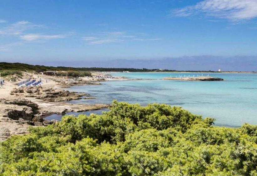 חדר אקונומי לשלושה, Capperi !! B&b