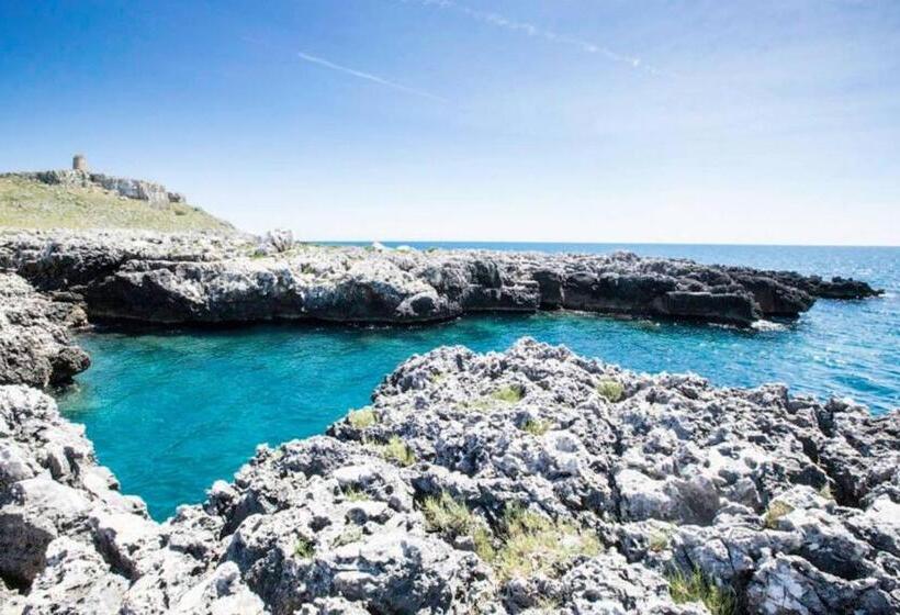 דירת חדר, Capperi !! B&b