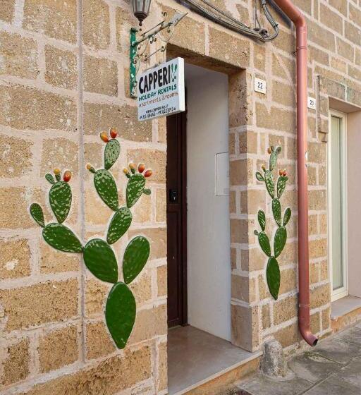 דירת חדר, Capperi !! B&b