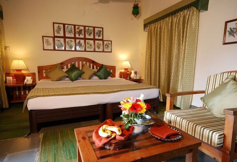 חדר דלוקס, Aodhi