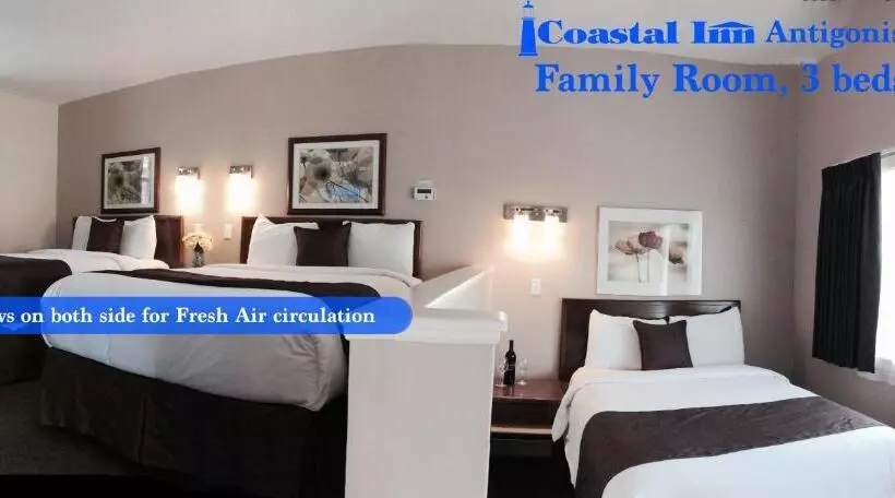 スタンダードトリプルルーム, Coastal Inn Antigonish