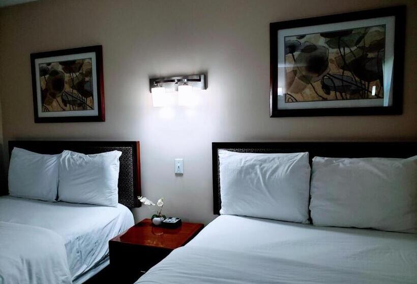 标准间, Coastal Inn Antigonish