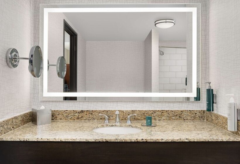 Номер Стандарт, Doubletree By Hilton Chicago O Hare Airport Rosemont