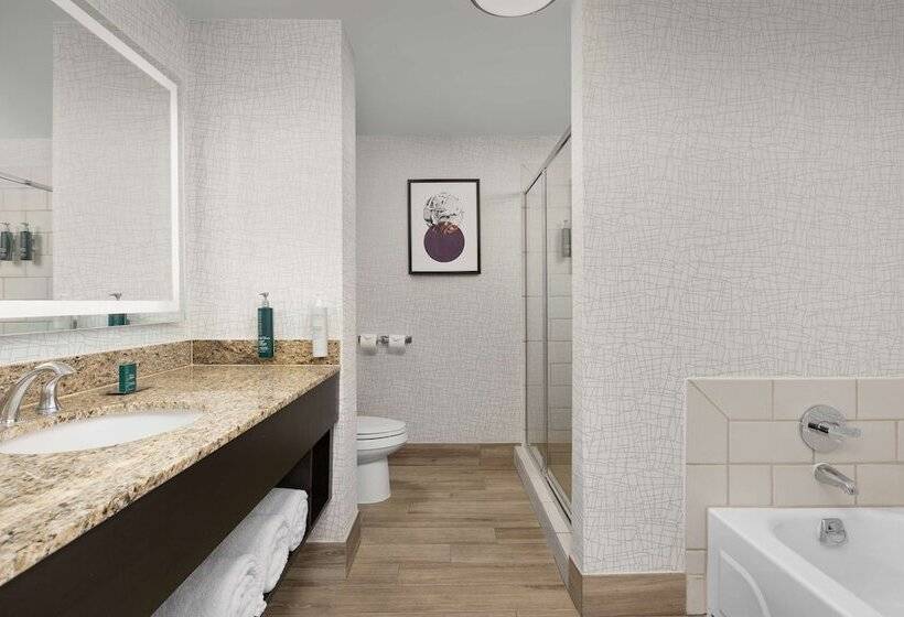 Номер Стандарт, Doubletree By Hilton Chicago O Hare Airport Rosemont