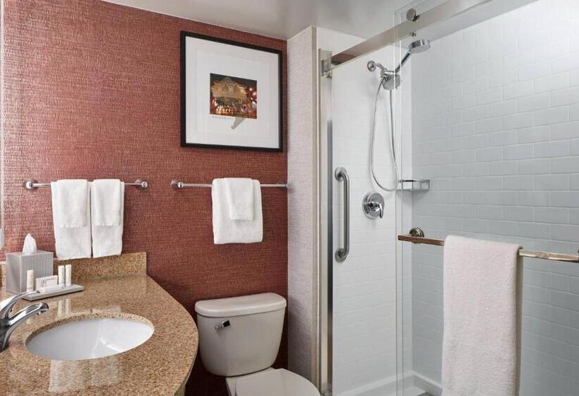 إستوديو قياسى سرير كينج, Fairfield Inn & Suites By Marriott Washington Downtown