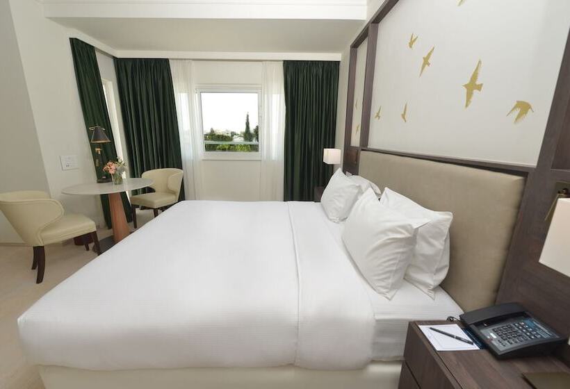 Executive-huone, Hilton Nicosia